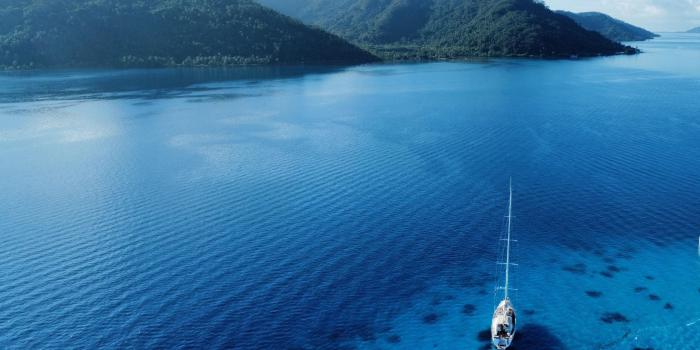 Oyster 885 Gallery 2 v3