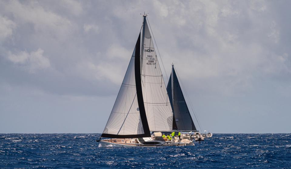Oyster Antigua Regatta 2025 Mellivora