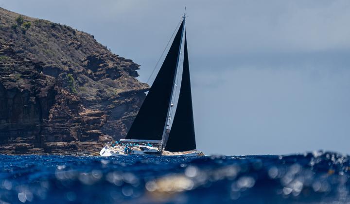 Oyster Antigua Regatta 2025 Oyster 825 Viva La Vida Racing