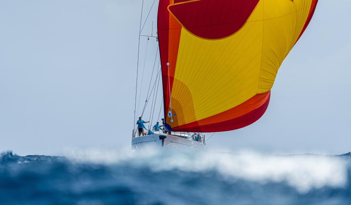 Oyster Antigua Regatta 2025 Sailing Spinnaker