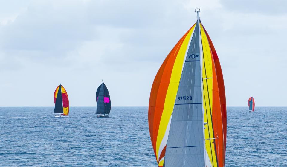 Oyster Antigua Regatta 2025 Spinnakers