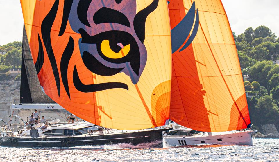 Oyster Palma Regatta 2024 10