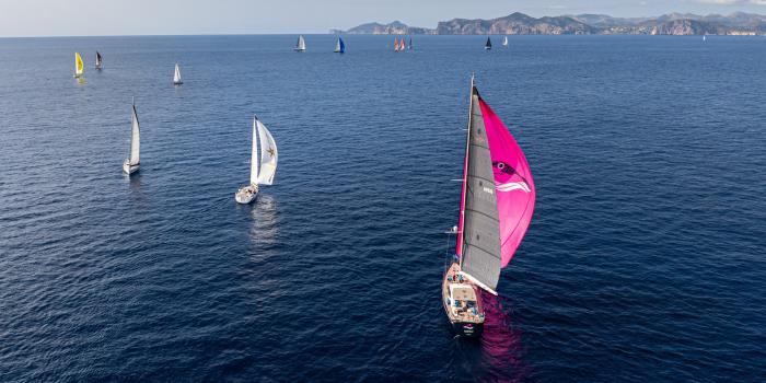 Oyster Palma Regatta 2024 18