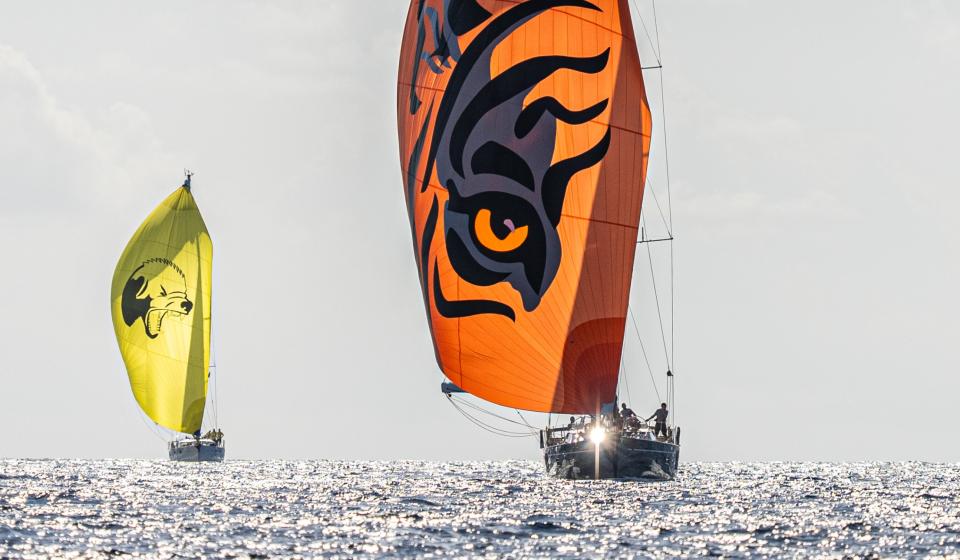 Oyster Palma Regatta 2024 9