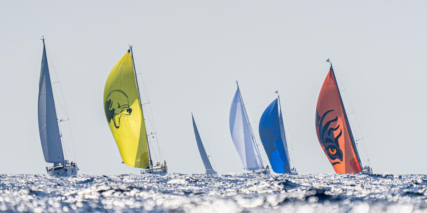 Oyster Palma Regatta 24 Day 4 3