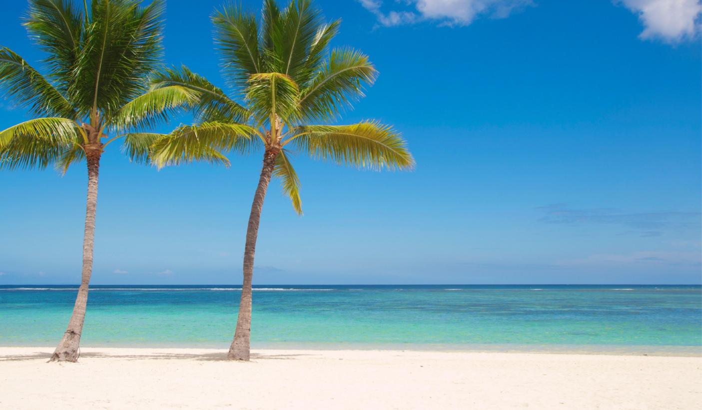 Oyster World Rally 2013 2014 Circumnavigation Palm Treas Sandy Beach