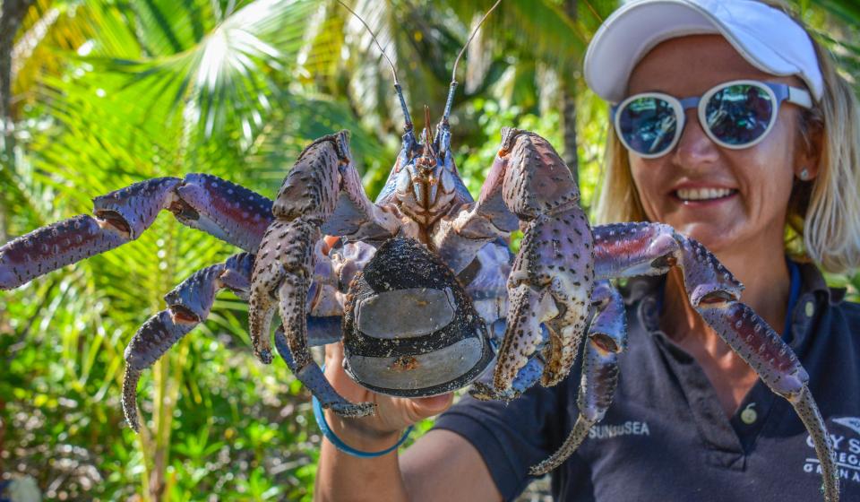 Oyster World Rally 2017 18 Circumnavigation Crab Selection