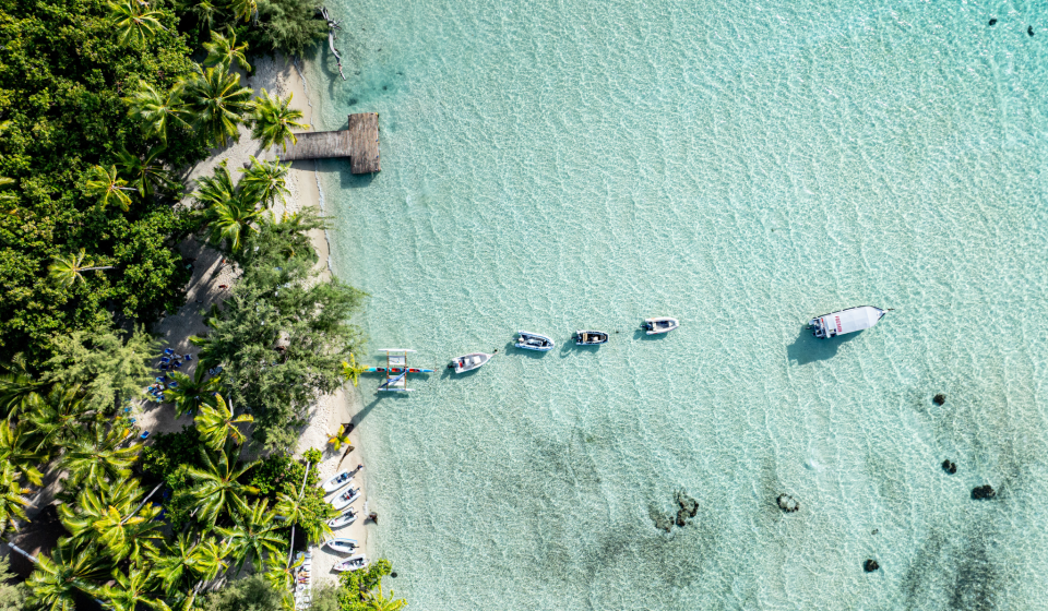 Oyster World Rally 2026 27 Raiatea French Polynesia Aerial View on Boats