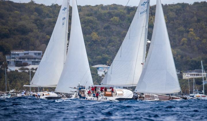 Oyster Yachts Antigua Regatta 2023 Irene IV and Blow Sailing