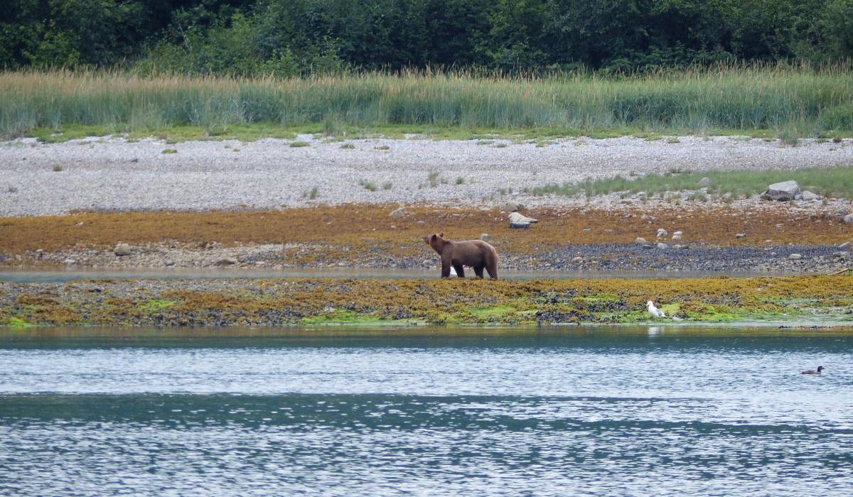 Oyster Yachts News 55 Days At Sea Sailing Voyage Story Bear
