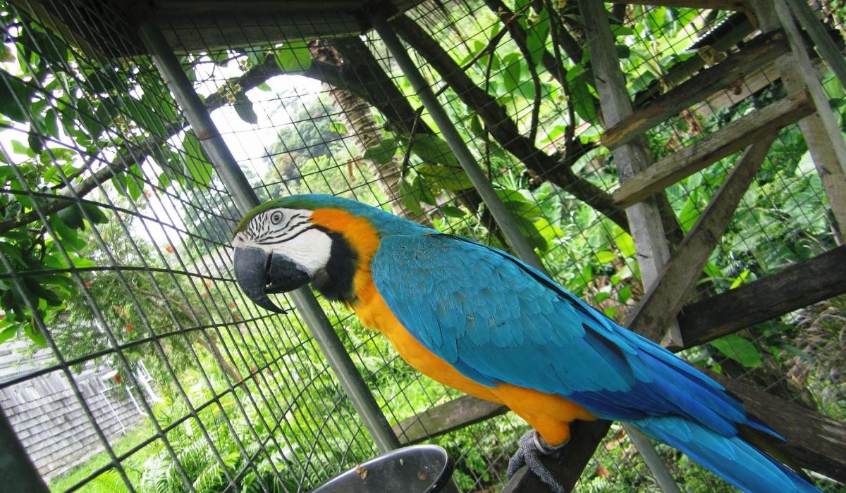 Oyster Yachts News The Taste Of An Oyster Sailing Voyage Story parrot