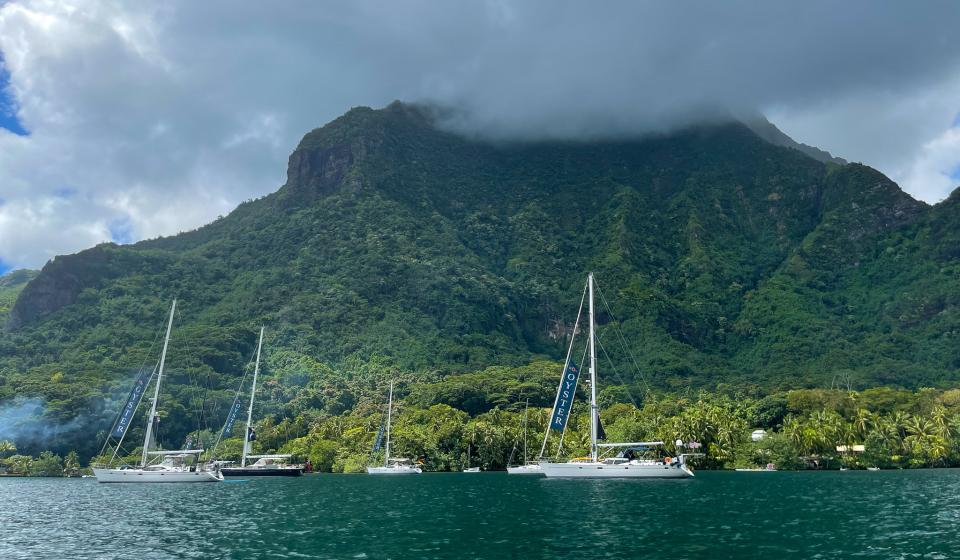 Oyster Yachts in Moorea
