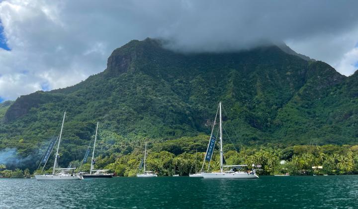Oyster Yachts in Moorea