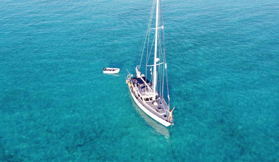 Oyster at 50 Owner Images 5