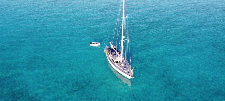 Oyster at 50 Owner Images 5