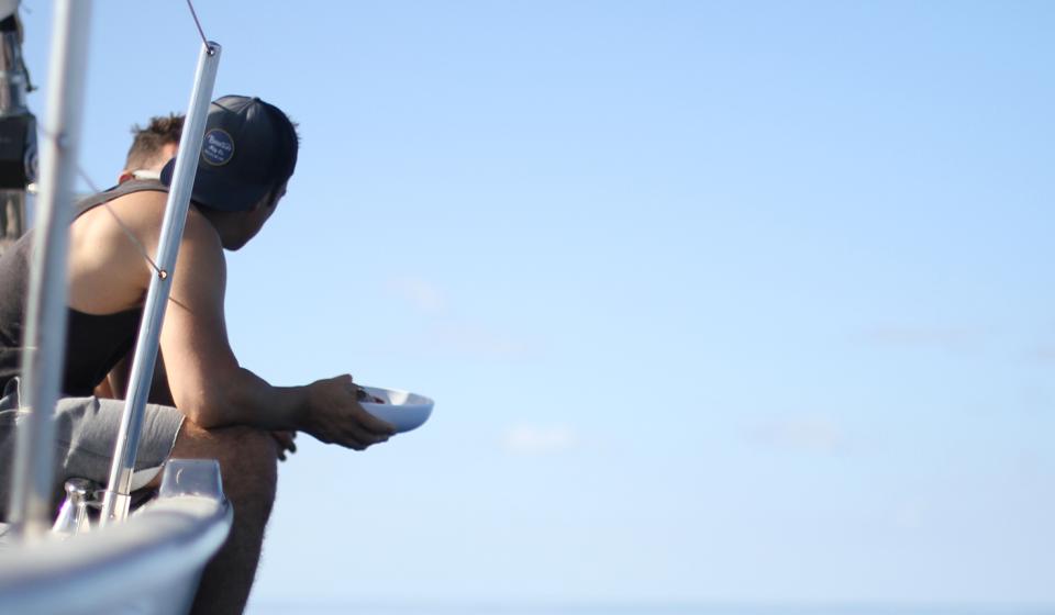 Oyster at 50 Years Oyster Sitting Eating Breakfast