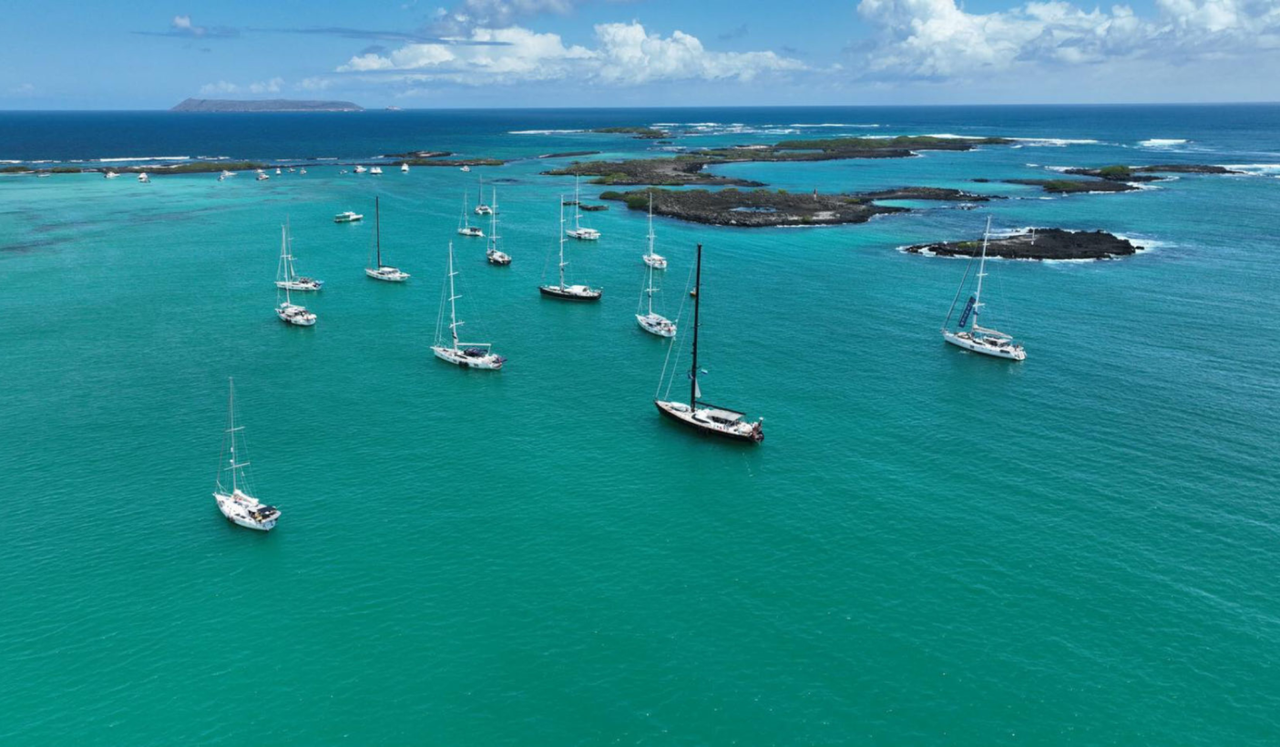 Oyster yachts in Galapagos