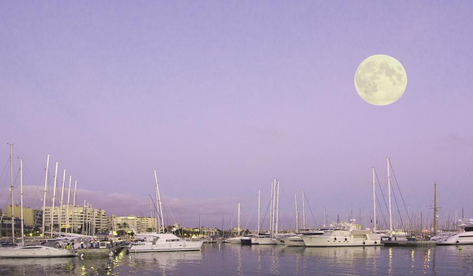 Palma Marina at Night Purple Sky