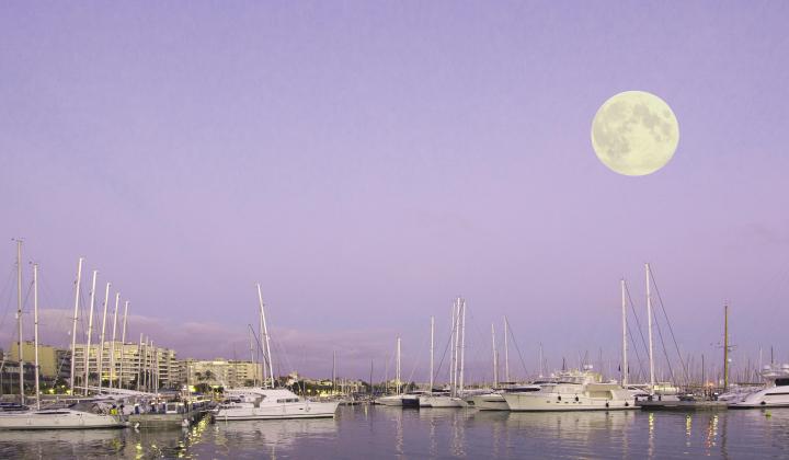 Palma Marina at Night Purple Sky
