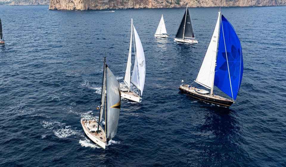Palma Regatta 24 5