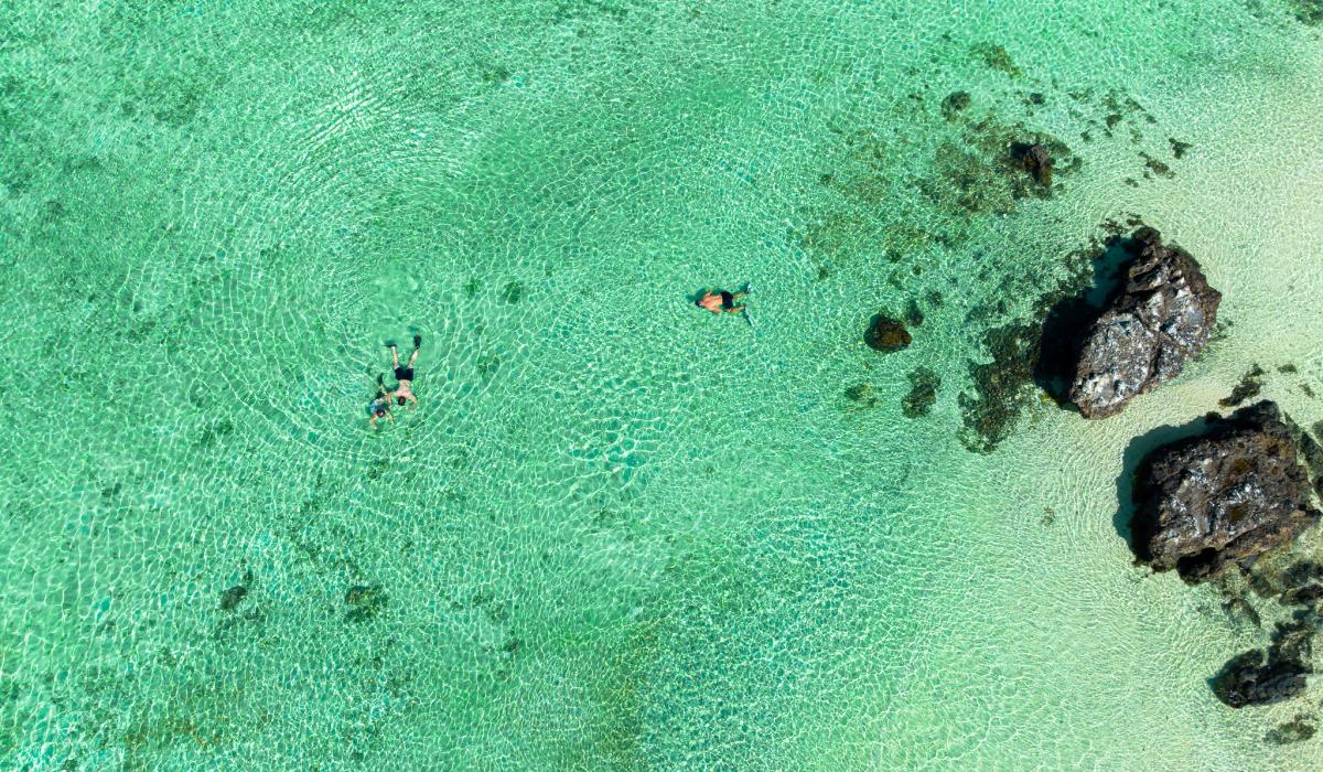 People snorkelling in Fiji clear waters