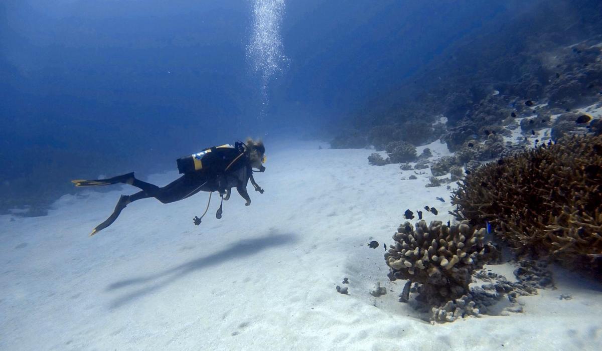 Snorkelling French Polynesia Underwater