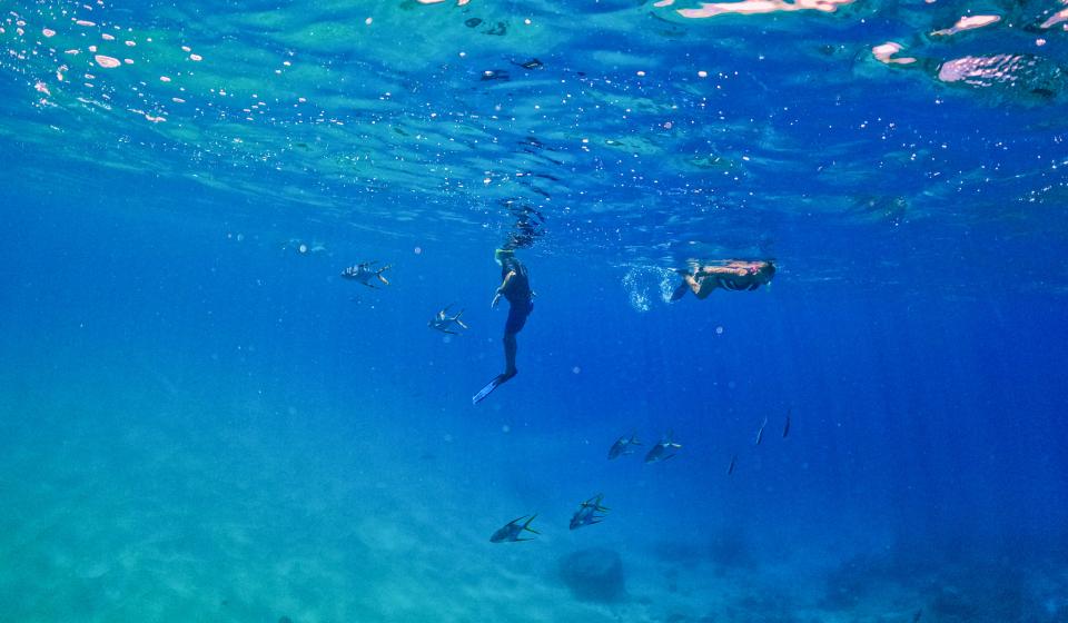 Snorkelling in Coiba Island