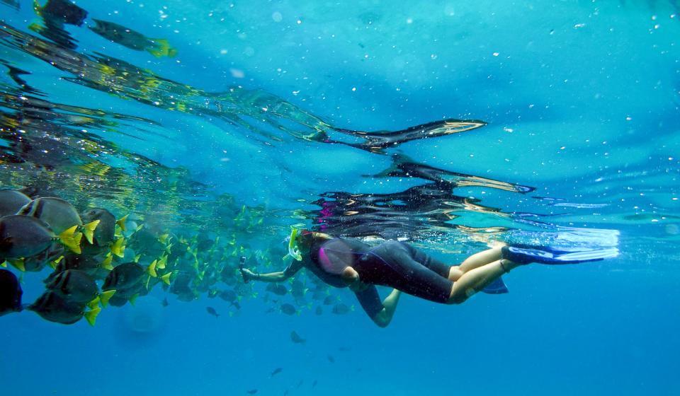 Snorkelling in Galapagos Islands