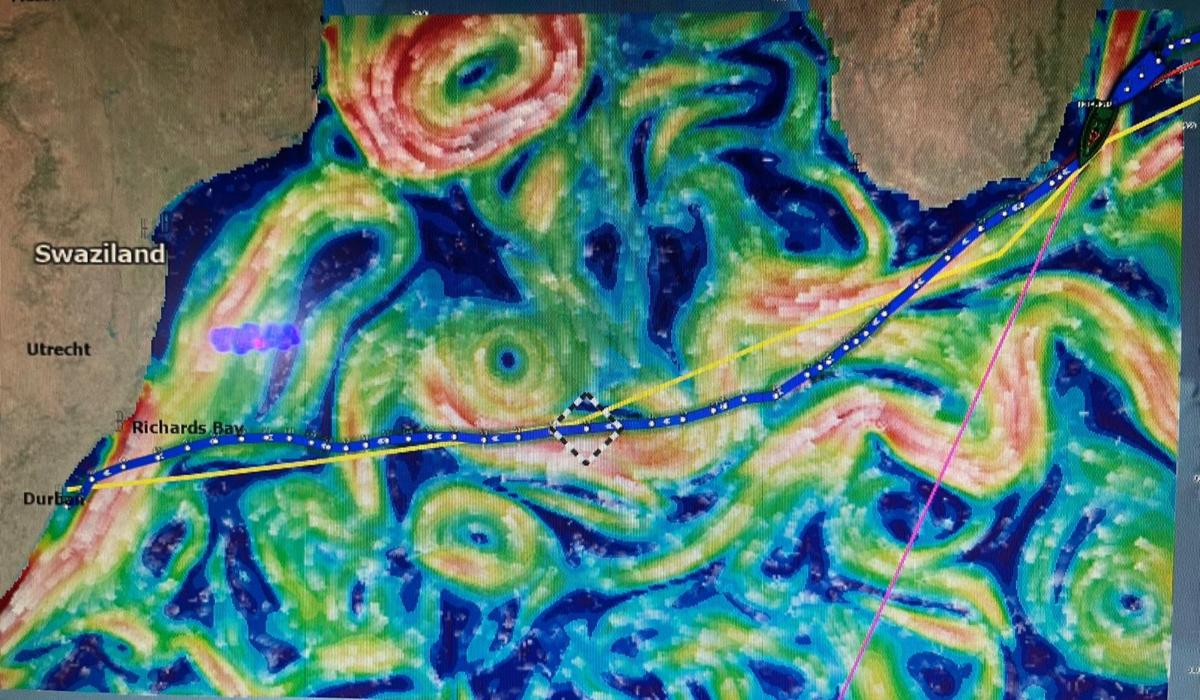 The complex tapestry of currents and their eddies on route to Durban