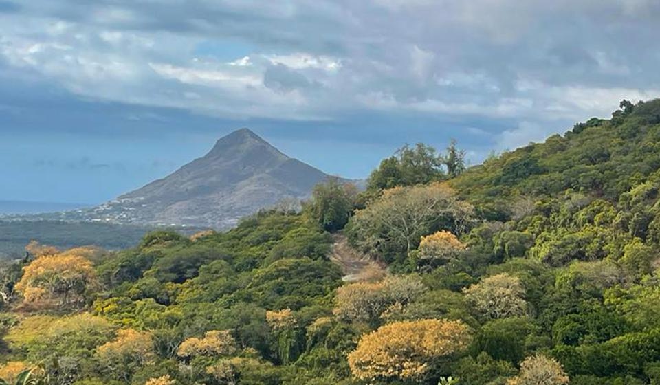Volcano Mauritius 2
