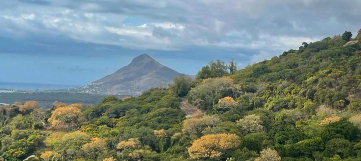 Volcano Mauritius 2