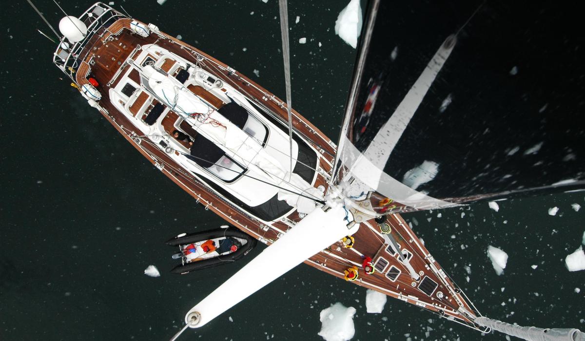 billy budd from above