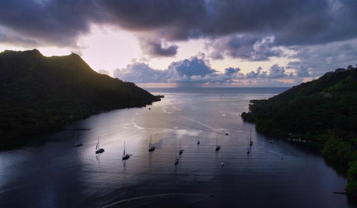 oyster yachts at sunrise