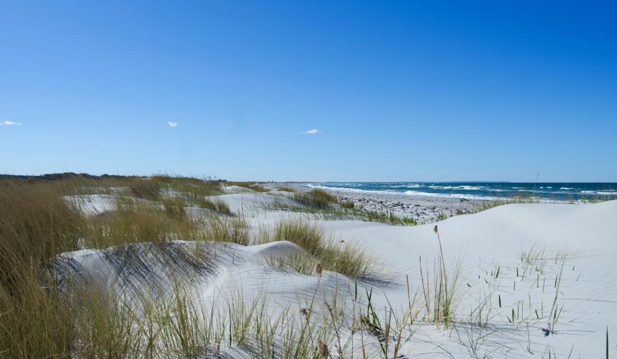 sand dunes denmark