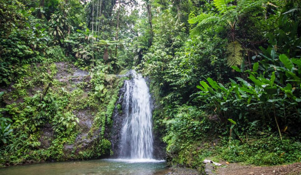 waterfall in the caribbean
