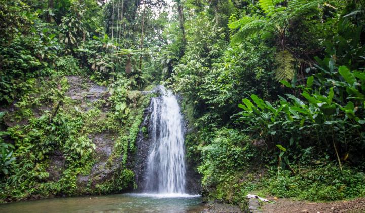 waterfall in the caribbean