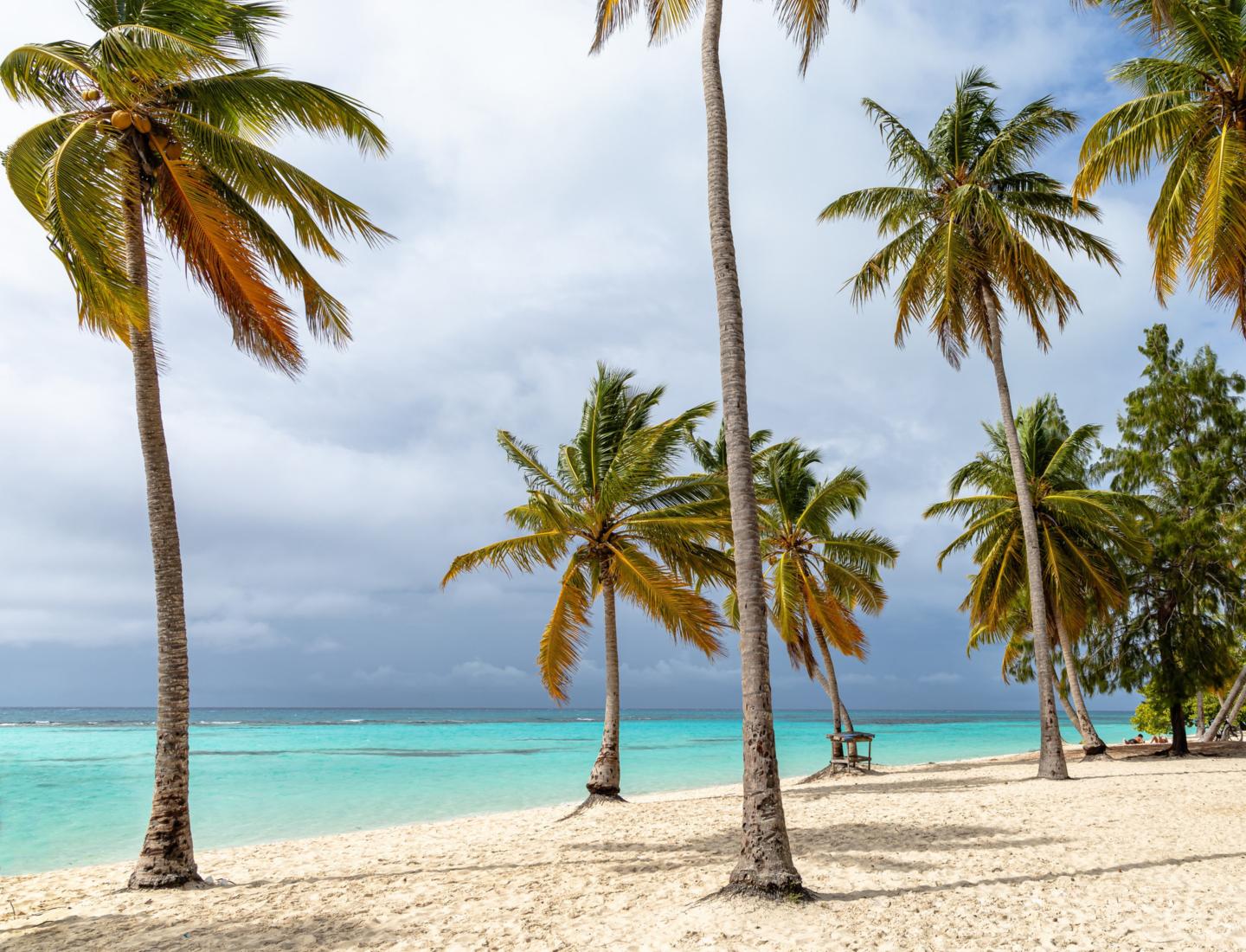 Caribbean