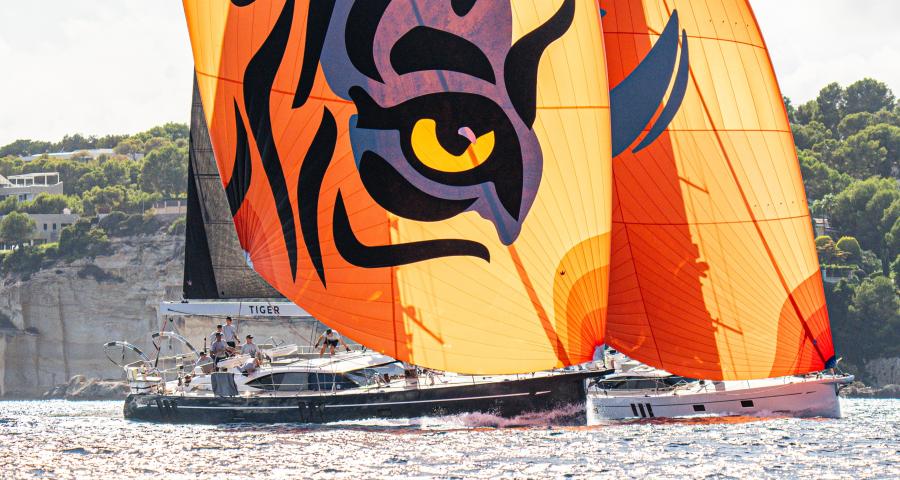 Palma Regatta 2024 v2