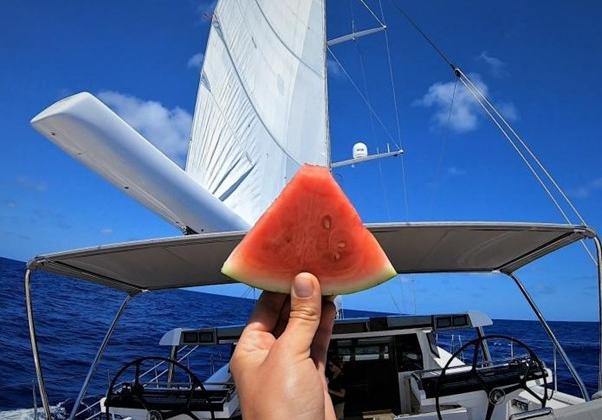 Oyster Yachts News Atlantic Crossing Blog Sailing Voyage Melon