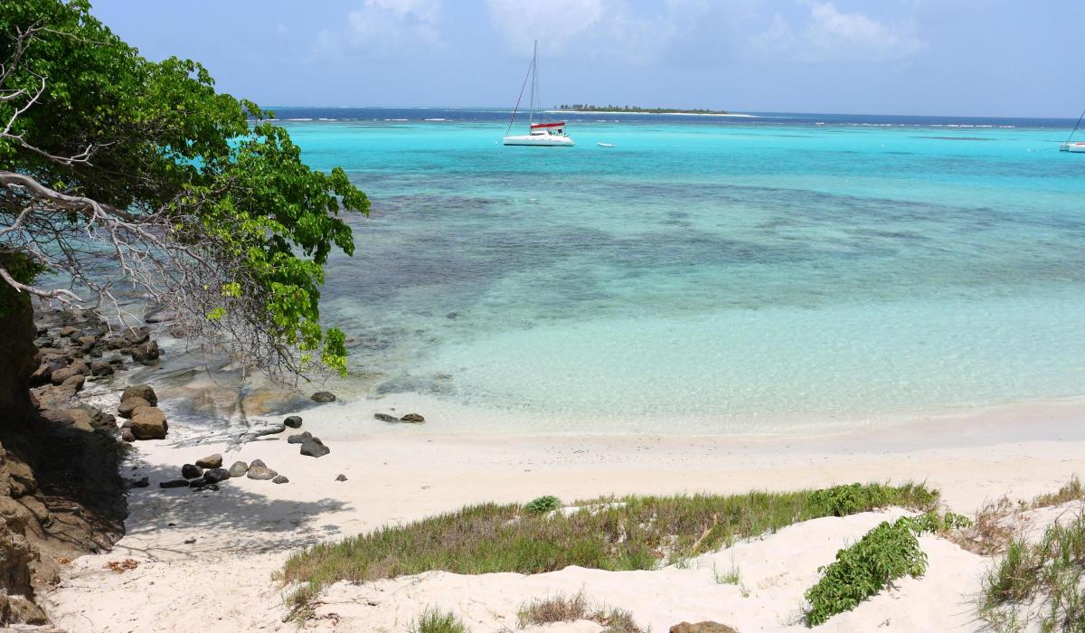 Tobago Cays St Vincent and the grenadines
