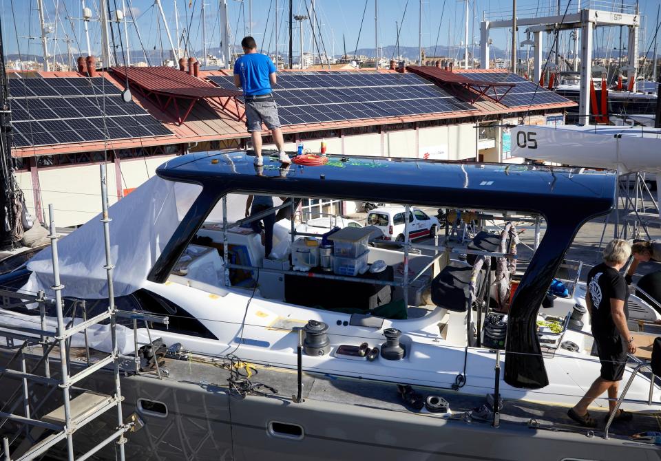 oyster palma service operation