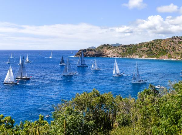 And theyre off Start gun goes on Oyster World Rally 2024 25