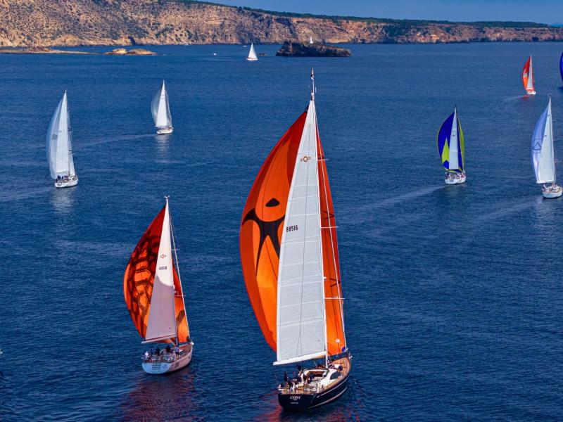 Annual Oyster Palma Regatta 2025