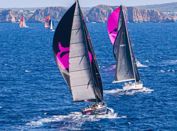 Oyster Palma Regatta 2024 v2