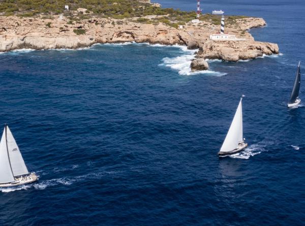 Oyster palma regatta 2022