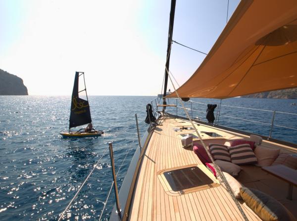 Summer 2023 Oyster Update