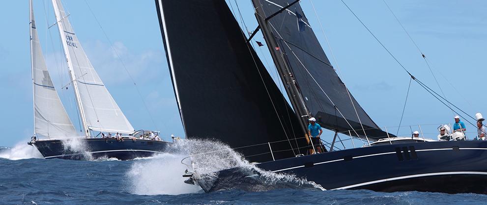 oyster yachts race