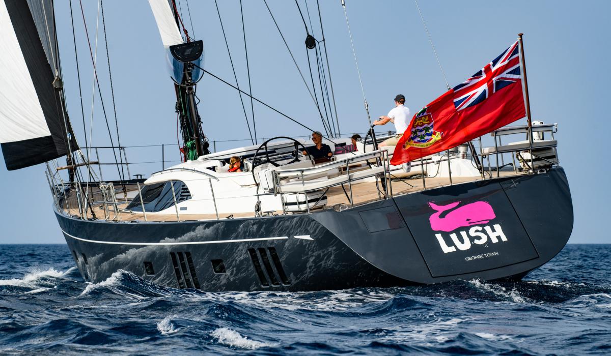 Oyster Yachts Oyster 885 Lush Sailing Boat