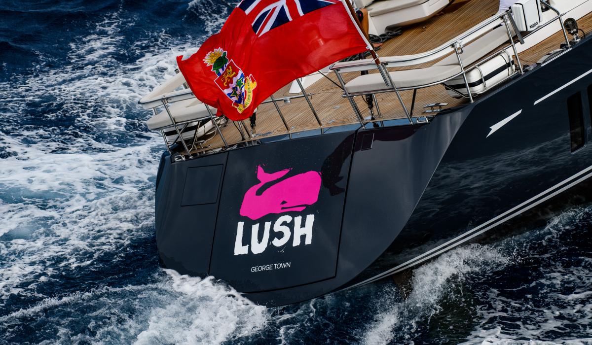 Oyster Yachts Oyster 885 Lush Sailing Luxury Yacht