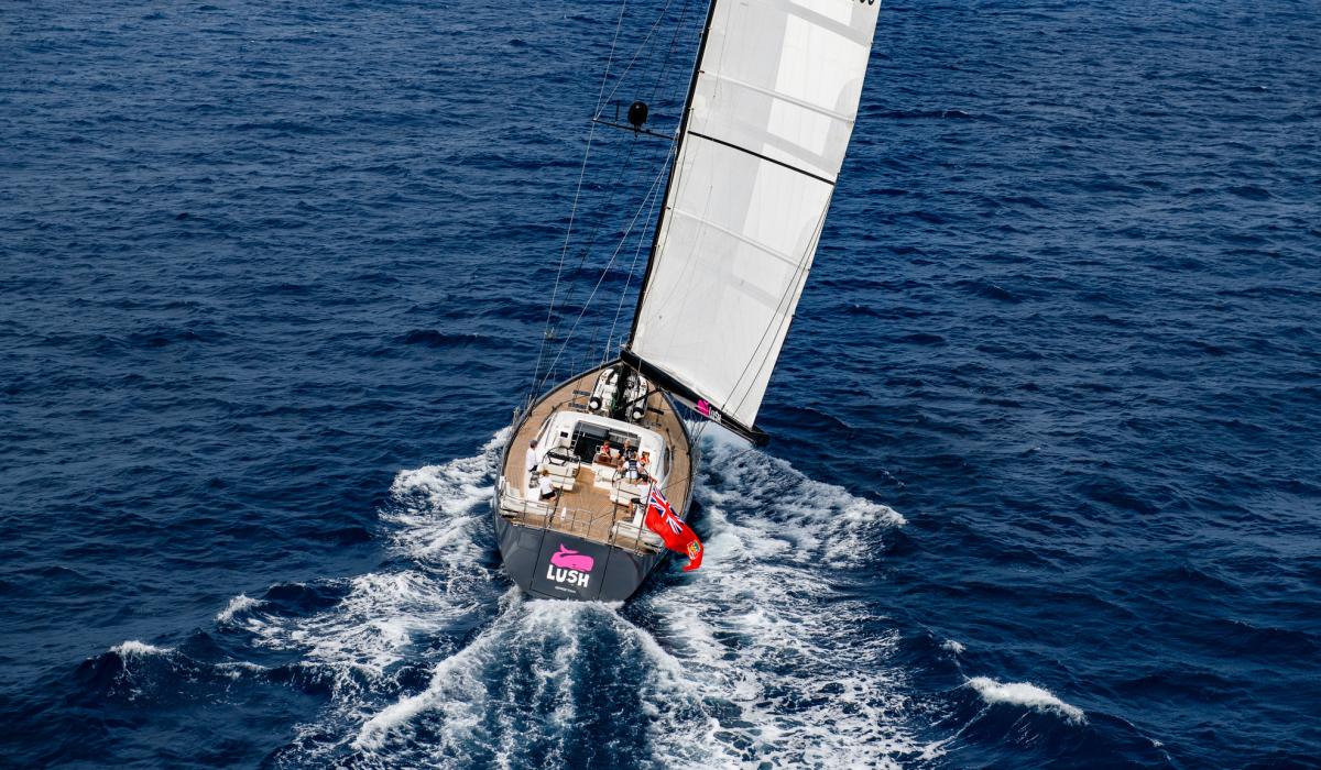 Oyster Yachts Oyster 885 big sailing yacht